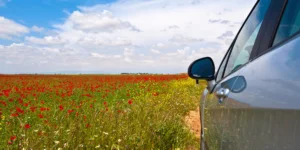 entretenir voiture printemps