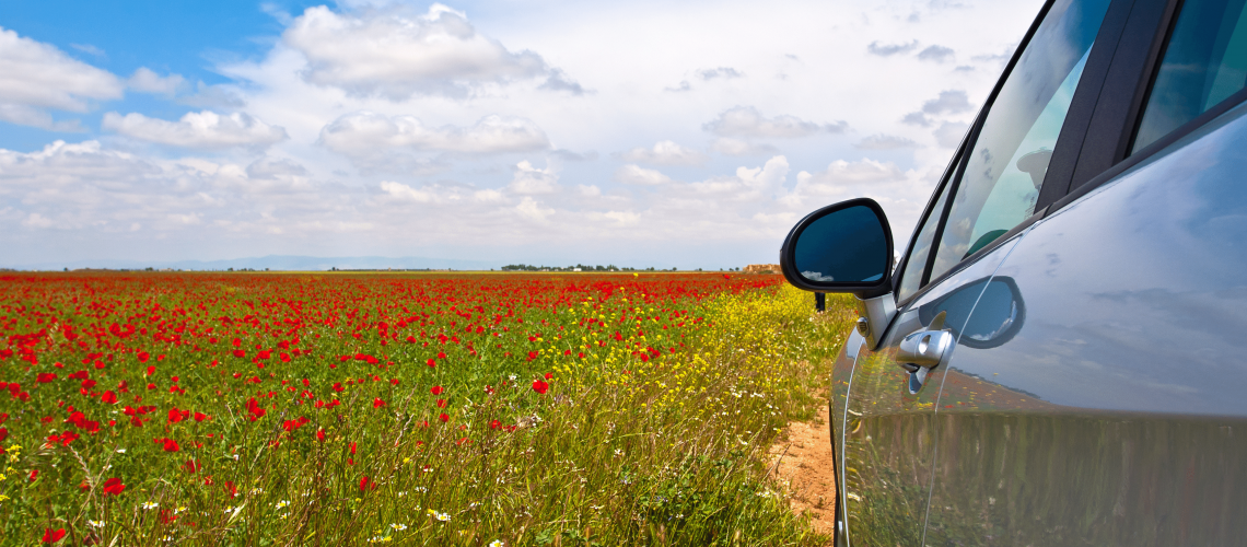 entretenir voiture printemps